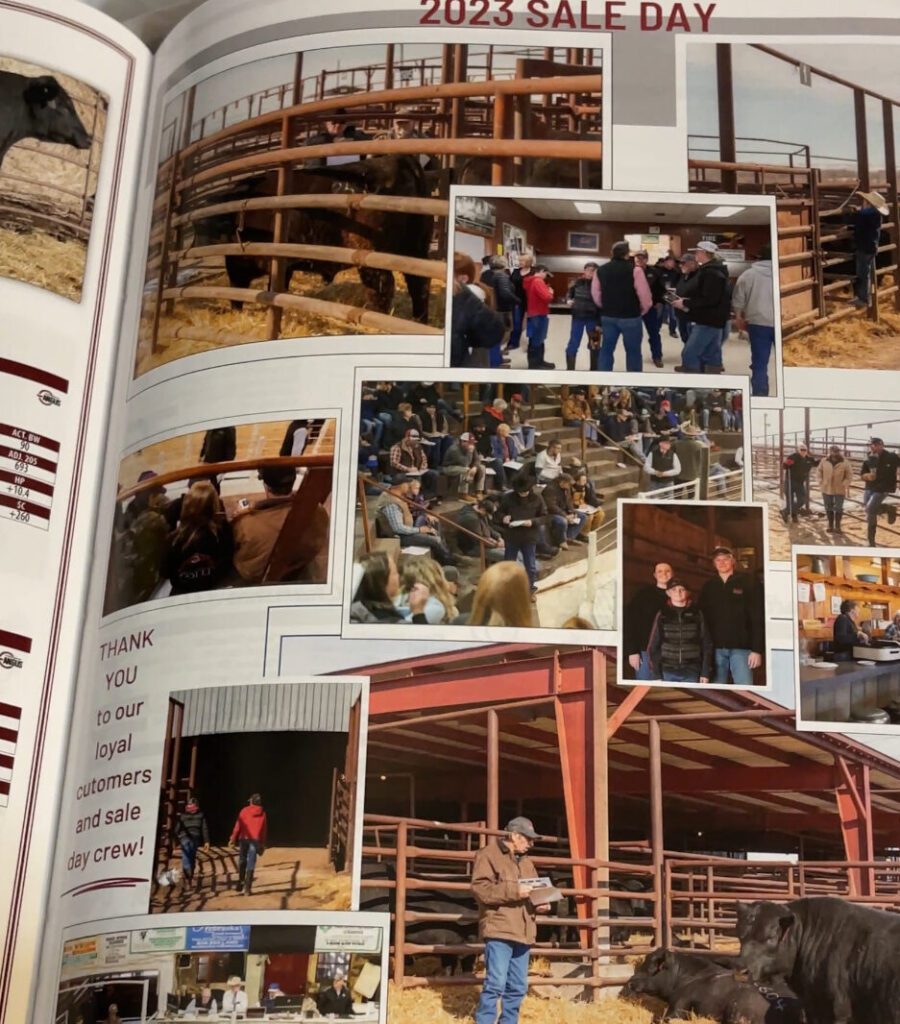 Photos from 2023 Ruggles Angus Bull Sale